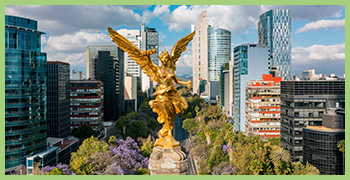 Mexico City Skyline