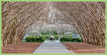 Dallas Arbitorium and Botanic Garden
